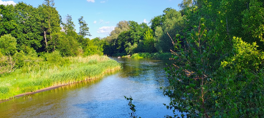 Widok na rzekę
